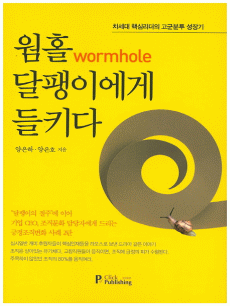 ��Ȧ(Wormhole) �����̿��� ��Ű��