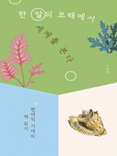 �� ���� �𷡿��� ���踦 ����