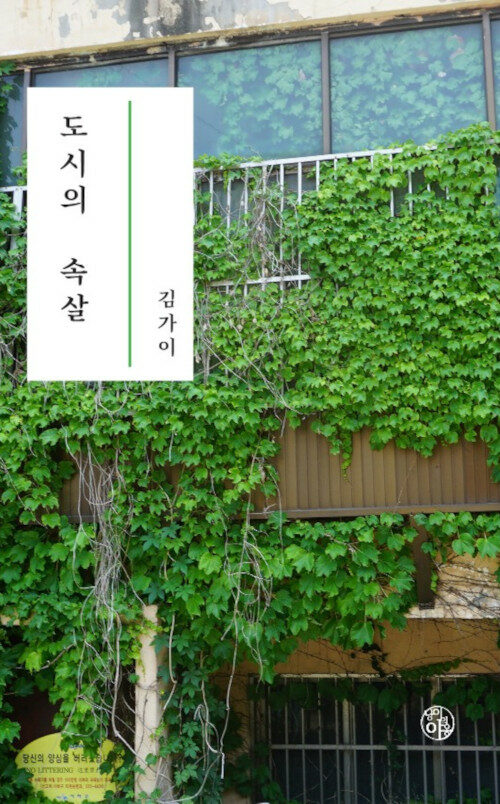 ������ �ӻ�