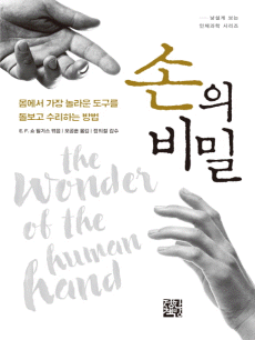 ���� ���