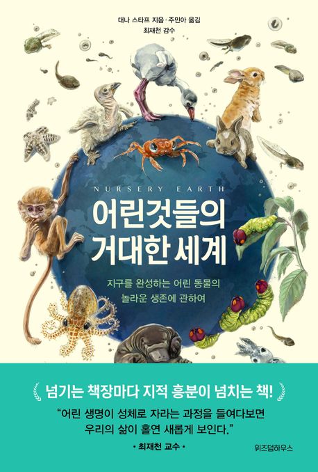 ��͵��� �Ŵ��� ����