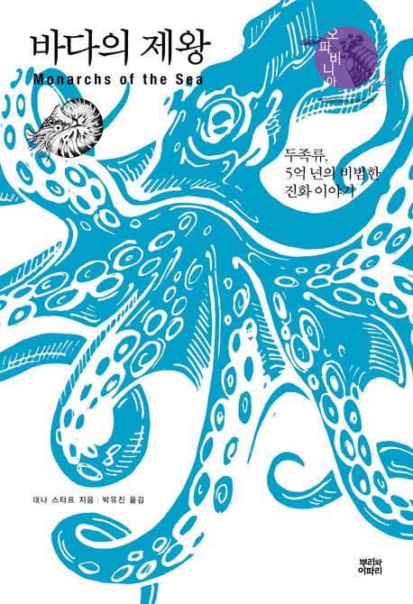 �ٴ��� ����