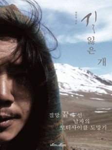 �� ���� ��