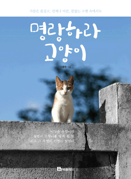 �����϶� ������