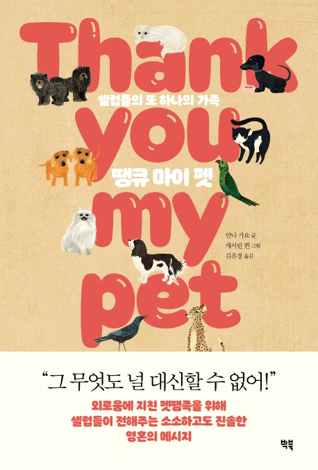 ��ť ���� ��