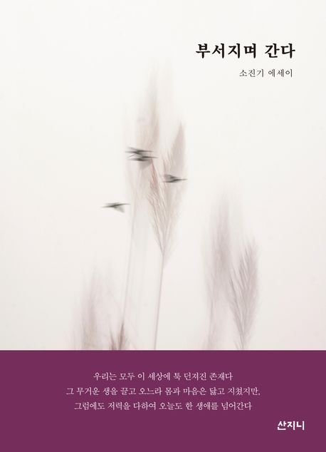 �μ����� ����